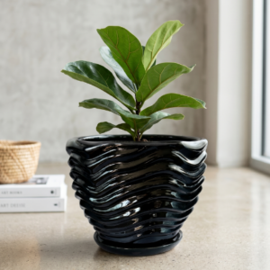 Clay Pot Botanical Bower