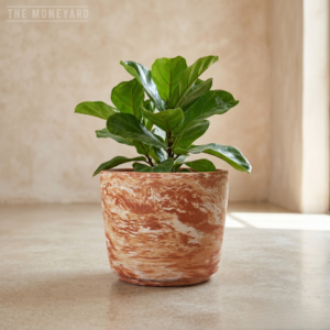 Clay Pot Jupiter