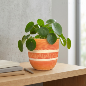 Terracotta Pot Clay Weave