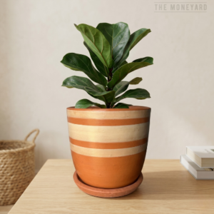 Clay Canvas