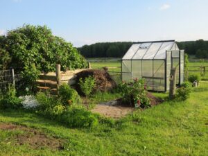 greenhouse, allotment garden, garden shed, garden, schwerin, nature, germany, greenhouse, greenhouse, greenhouse, greenhouse, greenhouse, allotment garden, allotment garden, allotment garden, garden shed