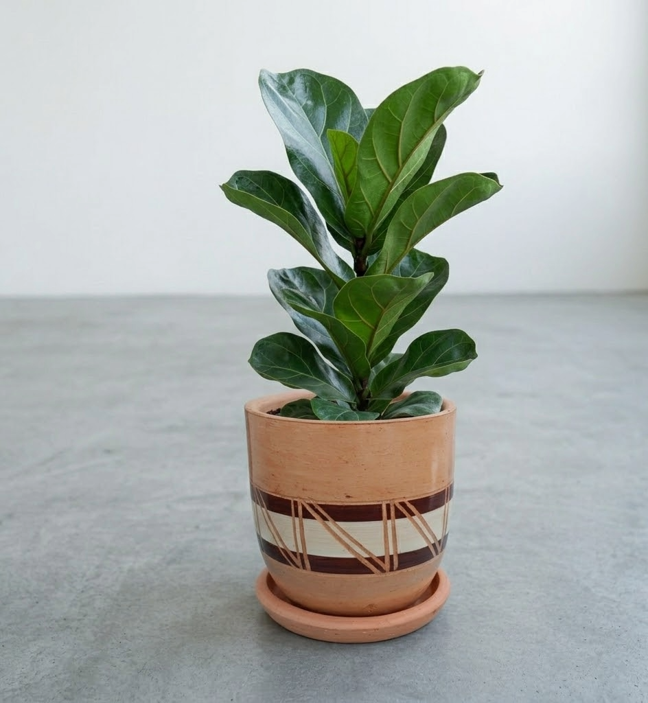 Stripe Fusion Terracotta