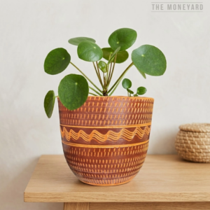Rood Rendezvous Terracotta Planter