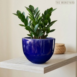 Ceramic Plantopia Planter